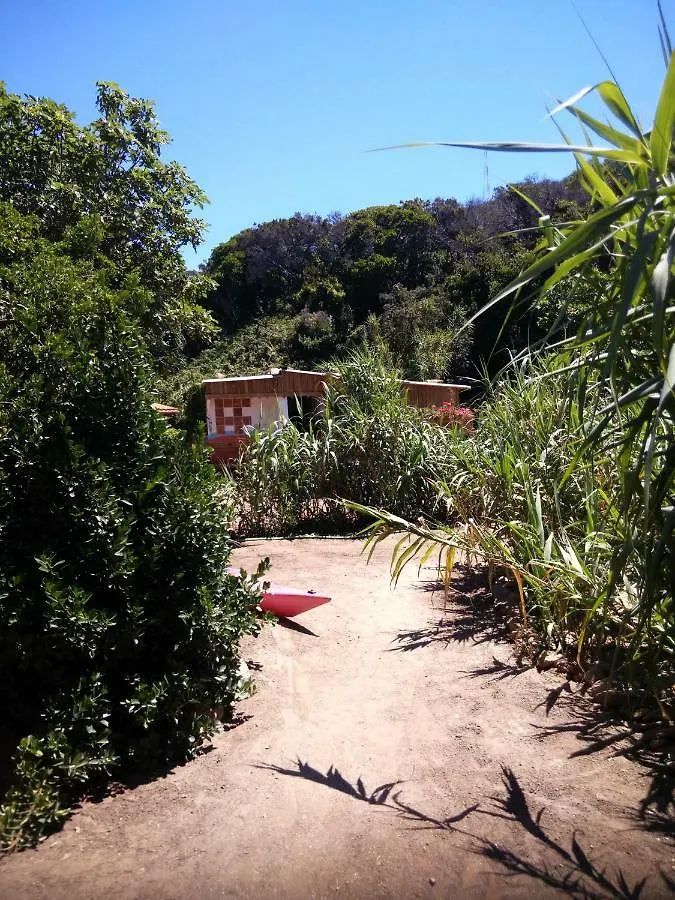 Hôtel Les Bambous, gamping gay et naturiste à Île du Levant Camping