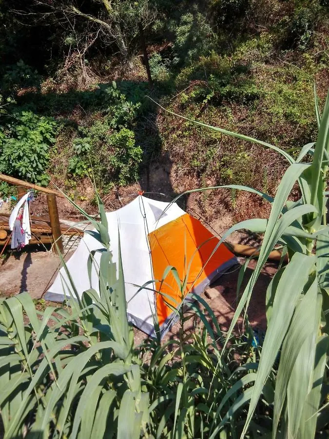 Hôtel Les Bambous, gamping gay et naturiste à Île du Levant Camping